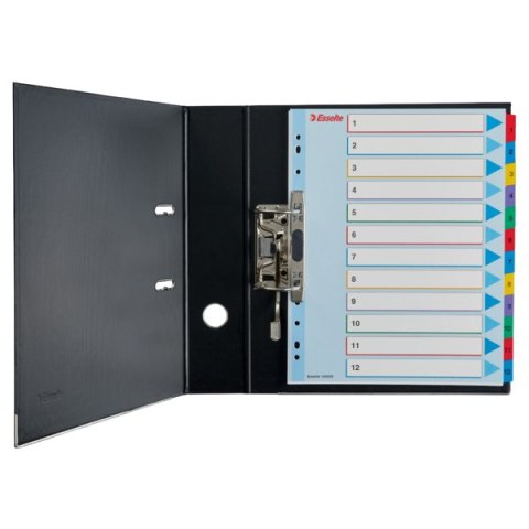 Przekładki kartonowe MYLAR A4 MAXI 1-5 ESSELTE 100207 Przekładki kartonowe MYLAR A4 MAXI 1-5 ESSELTE 100207