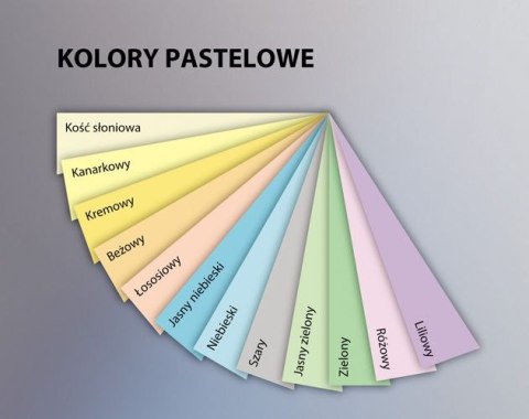 Papier xero A4 80g zielony xem408009 EMERSON Papier xero A4 80g zielony xem408009 EMERSON
