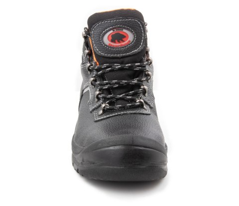 TRZEWIK BEARFIELD R02 S1 SRC TRZEWIK BEARFIELD R02 S1 SRC