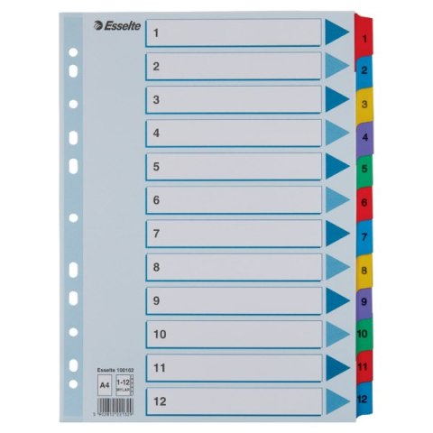 Przekładki kartonowe MYLAR A4 1-12 100162 białe ESSELTE Przekładki kartonowe MYLAR A4 1-12 100162 białe ESSELTE