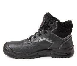 TRZEWIK BEARFIELD OCIEPLANY R02 S3 SRC