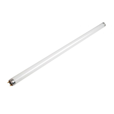 Świetlówka liniowa T8 18W (ciepłe białe światło) 120cm Świetlówka liniowa T8 18W (ciepłe białe światło) 120cm
