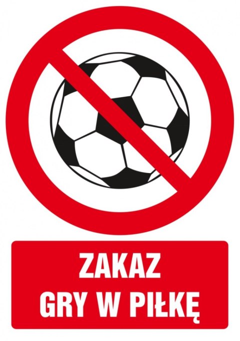 Znak TDC, Zakaz gry w piłkę Znak TDC, Zakaz gry w piłkę