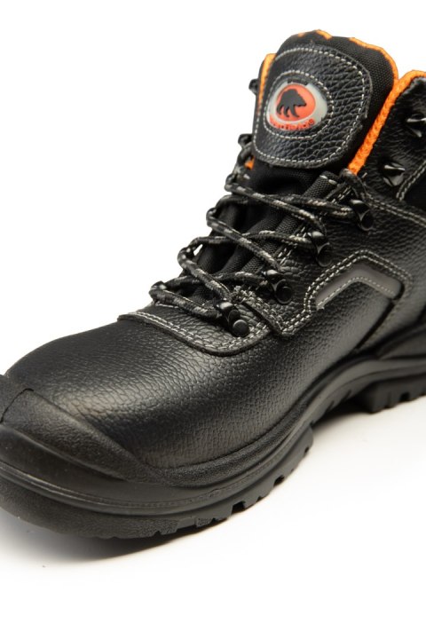 TRZEWIK BEARFIELD R02 O1 SRC