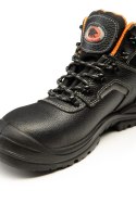 TRZEWIK BEARFIELD R02 S1 SRC