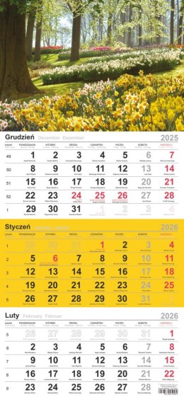 Kalendarz trójdzielny (H) 2026 Michalczyk i Prokop T-106T-06