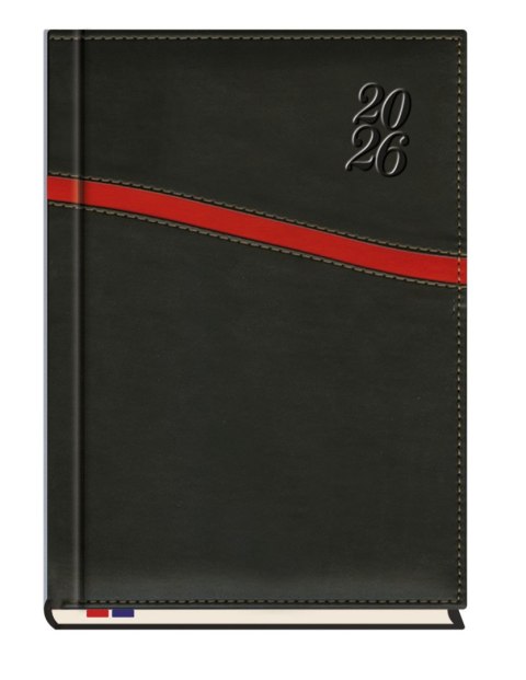 Terminarz Asesor B5 2027, kalendarz tygodniowy, Michalczyk i Prokop T-249K-01