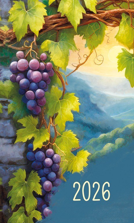 Terminarz Mini 87x145mm 2026 Michalczyk i Prokop T-MINI-08 KALENDARZ