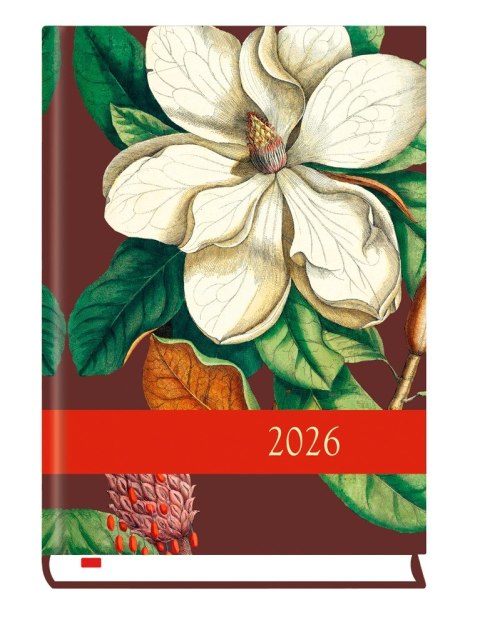 Terminarz Powszechny B6 2026 Michalczyk i Prokop T-200F-01