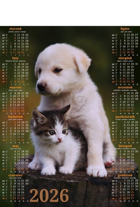 Kalendarz Plakatowy B-1, P18 - PRZYJACIELE 2026