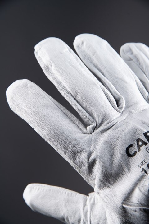 DRIVE SKÓRA BYDLĘCA