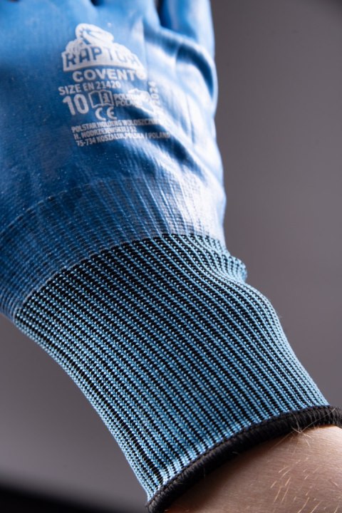 RAPTOR - Niebieski/Granat