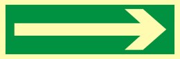 ZNAK EWAKUACYJNY - KIERUNEK DROGI EWAKUACYJNEJ - AA 008 BH PS
