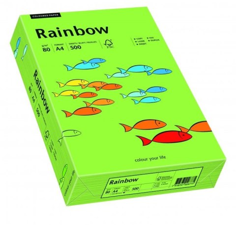 Papier xero kolorowy RAINBOW zielony R76 88042651 Papier xero kolorowy RAINBOW zielony R76 88042651