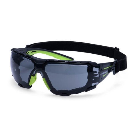 Okulary ochronne Tech Look Pro KN