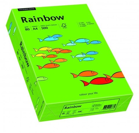 Papier xero kolorowy RAINBOW ciemnozielony R78 88042673 Papier xero kolorowy RAINBOW ciemnozielony R78 88042673