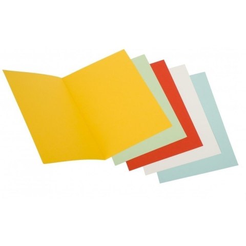 Okładka na dokumenty DOTTS A4 230g (215x305mm) biała (5szt)