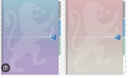 Kołozeszyt OXFORD A4 80k PASTEL ruchome przekładki 400182938