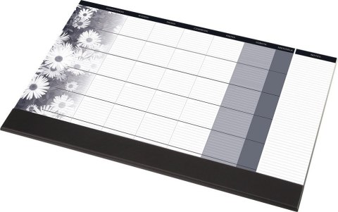 BIUWAR z listwą miesięczny 0318-0008-99 PANTA PLAST 407x330 mm BIUWAR z listwą miesięczny 0318-0008-99 PANTA PLAST 407x330 mm