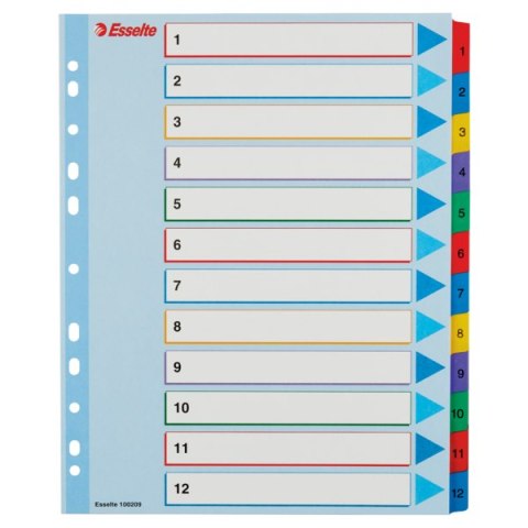 Przekładki kartonowe MYLAR A4 MAXI 1-12 ESSELTE 100209 Przekładki kartonowe MYLAR A4 MAXI 1-12 ESSELTE 100209