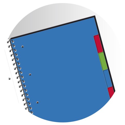 Kołonotatnik A4 80 kartek, kratka / tagi, STUDENT ORGANISERBOOK, OXFORD, 400019524 Kołonotatnik A4 80 kartek, kratka / tagi, STUDENT ORGANISERBOOK, OXFORD, 400019524