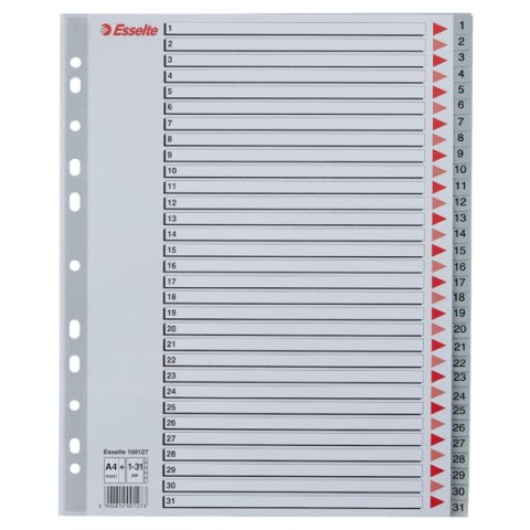 Przekładki plastikowe szare PP alfabetyczne A4 Esselte, 1-31 maxi, , 100127 Przekładki plastikowe szare PP alfabetyczne A4 Esselte, 1-31 maxi, , 100127