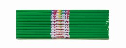 Bibuła marszczona 50x200cm, zielony, 10 szt., HAPPY COLOR, HA 5020-5