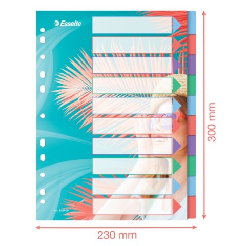 Przekładki Colour Breeze PP A4, 10 przekładek Esselte 628500 Przekładki Colour Breeze PP A4, 10 przekładek Esselte 628500