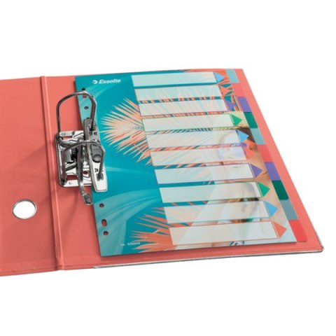 Przekładki Colour Breeze PP A4, 10 przekładek Esselte 628500 Przekładki Colour Breeze PP A4, 10 przekładek Esselte 628500