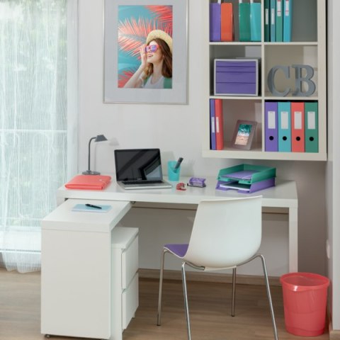 Kołonotatnik Colour Breeze A4, w kratkę, niebieski Esselte 628476