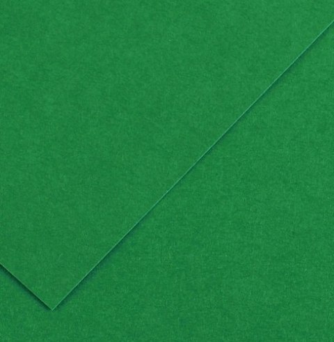 Karton kolorowy Oxford B1 225g 25ark nr.63 c.zielony 400150269 TOP-2000