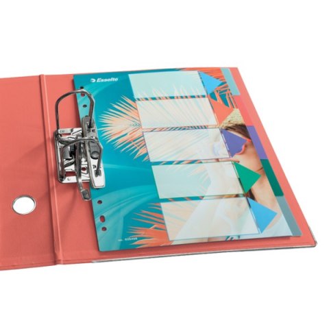 Przekładki ColourBreeze PP A4, 5 przekładek Esselte 628498 Przekładki ColourBreeze PP A4, 5 przekładek Esselte 628498