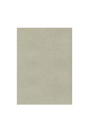 Karton wizytówkowy A4 platynowy W72 (10) 235g KRESKA (X) Karton wizytówkowy A4 platynowy W72 (10) 235g KRESKA (X)