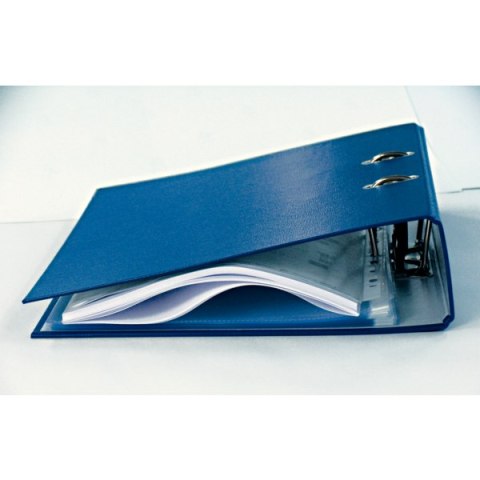 Koszulki ESSELTE A4 maxi 100 mic (25szt) groszkowe 259760 Koszulki ESSELTE A4 maxi 100 mic (25szt) groszkowe 259760